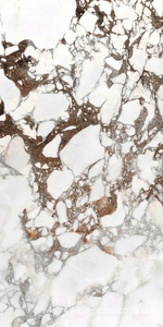 Керамогранит для пола и стены Florim Magnum Les Bijoux De Rex Bijoux Breche Capraia Glossy 120x240 765724