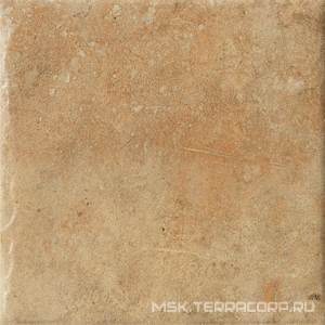 Керамогранит для пола и стены CIR Cotto Del Campiano  Giallo Umbria 20x20 1080482