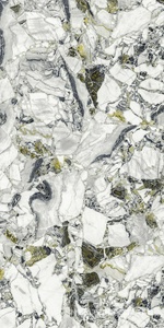 Керамогранит для пола и стены AtlasConcorde Россия FORTE DEI MARMI QUARK F.d.M.Quark Ceppo Ap. Forest Rett 80x160/Ф.Д.М.Кварк Чеппо Ап. Форест Рет 80Х160 610010002960