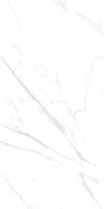 Керамогранит для пола и стены Zerde Statuario  white 60x120 n163883