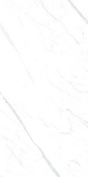Statuario white 60x120