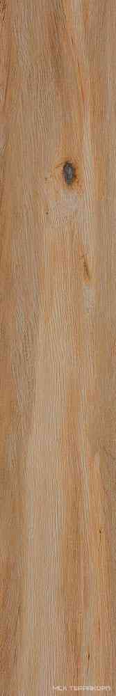Leccio Classico KL 20x120