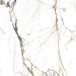Керамогранит для пола и стены Alpas Euro Eco Marble  6582 Polished 60x60 n167691