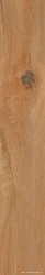 Leccio Oliato KL 20x120