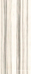 Керамогранит для пола и стены La Faenza Aesthetica AE ZEB6 278 LP 120x278 188012