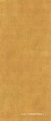 Gold Glossy ZZ 120x280