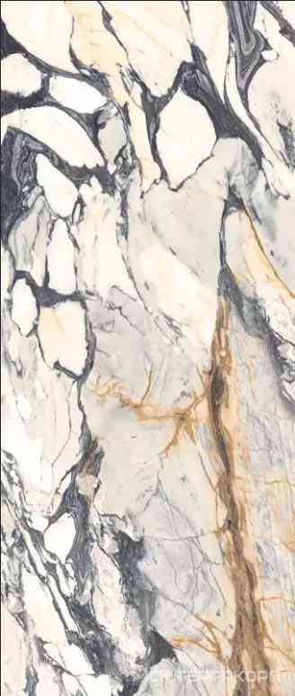 Cal Pi6 278 LK ZZ (п.п.) 120x278