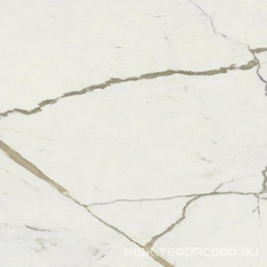 Керамогранит для пола и стены Dado Ceramica Vision  Calacatta Oro 120x120 VSM202