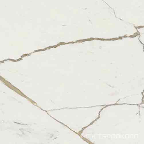 Vision Calacatta Oro 120x120