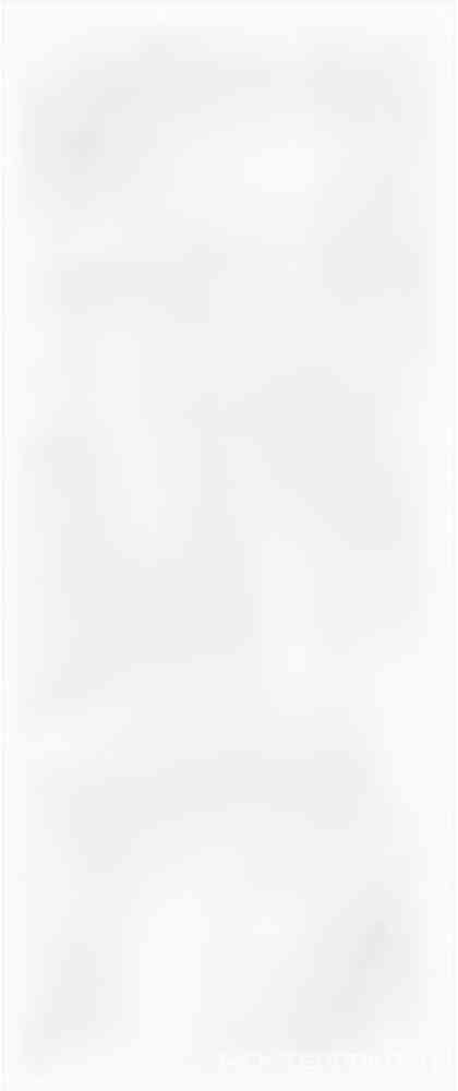 Sweety white wall 01 25х60