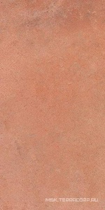 Керамогранит для пола и стены Gambini Heartland Amber 30x60.3 n172497