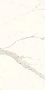 Керамогранит для пола и стены Ariostea Marmi Classici Bianco Calacatta Luc 60x120 PL612527