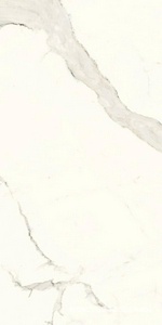 Керамогранит для пола и стены Ariostea Marmi Classici Bianco Calacatta Luc 60x120 PL612527