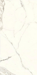 Bianco Calacatta Luc |60x120
