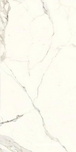 Керамогранит для пола и стены Ariostea Marmi Classici Bianco Calacatta Luc 60x120 PL612527