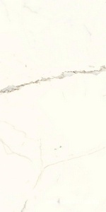 Керамогранит для пола и стены Ariostea Marmi Classici Bianco Calacatta Luc 60x120 PL612527