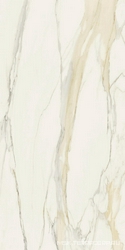 Calacatta Gold Glossy 160x320