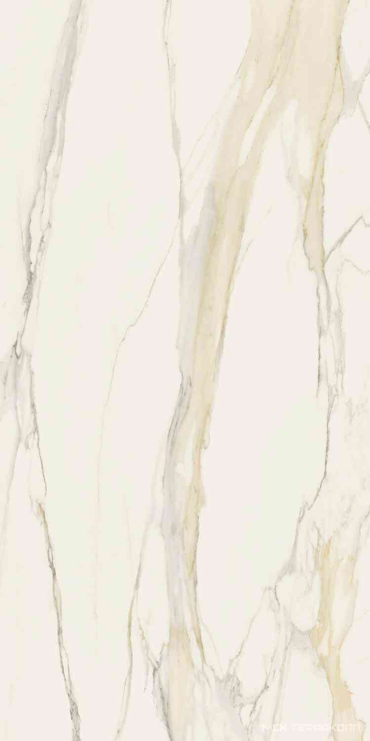 Calacatta Gold Glossy 160x320