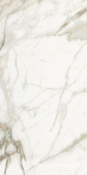 Calacatta lucido XX |60x120