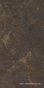 Керамогранит для пола и стены Ariostea Marmi Classici Pulpis Grey Soft 60x120 P612515