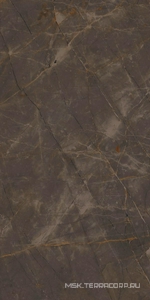 Керамогранит для пола и стены Ariostea Marmi Classici Pulpis Grey Soft 60x120 P612515