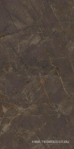 Керамогранит для пола и стены Ariostea Marmi Classici Pulpis Grey Soft 60x120 P612515