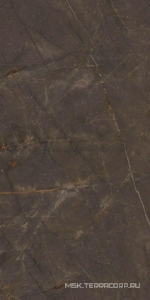 Керамогранит для пола и стены Ariostea Marmi Classici Pulpis Grey Soft 60x120 P612515