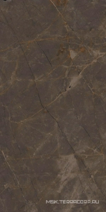 Керамогранит для пола и стены Ariostea Marmi Classici Pulpis Grey Soft 60x120 P612515