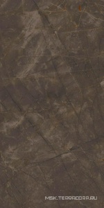 Керамогранит для пола и стены Ariostea Marmi Classici Pulpis Grey Soft 60x120 P612515