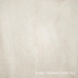 Evoque White Brillante RT XXZZ |59x59