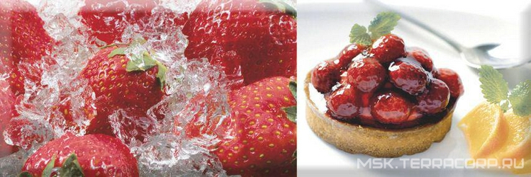 Decor Candy Fruits 02 KL |10x30