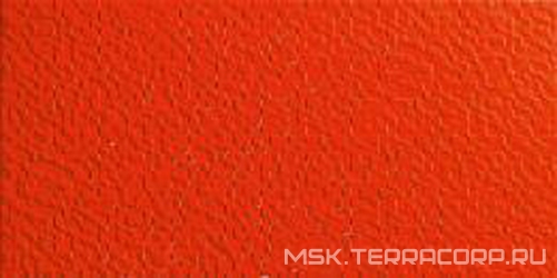 Sinfonia Rojo XX |25x50