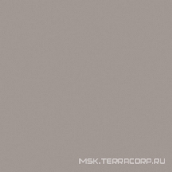 Rainbow RW03 серый неполир.ZZ 60x60