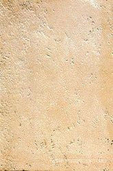 Abbadia (argenteo) XX |31.7x48