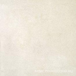 Avenue Ivory Natural XX |59.55x59.55