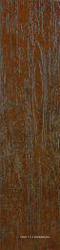 Silex Coral XX |16.25x66.5