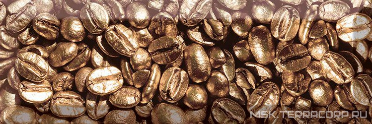 Декор Absolut Keramika Monocolor 10x30 Decor Coffee Beans 01 10x30 AK0571