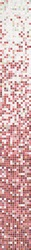 Mix 1 Oleandro 2x2  ZZ |32.2x258.8