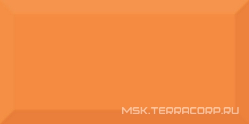Monocolor Naranja Biselado Brillo ZZ 10x20