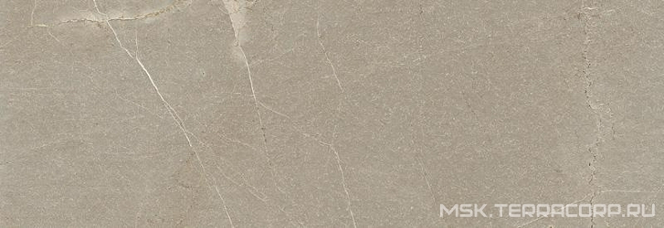 Baltimore Tortora rect. XX.|31.6x90