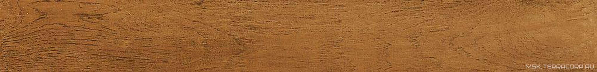 Rovere Biondo XX |11x90