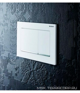 Клавиша двойного смыва, (пластик, цв. рамка - белая, декоративная планка - хром глянцевый, кнопки - белый), 30 ZZ Geberit Omega 115.080.KJ.1