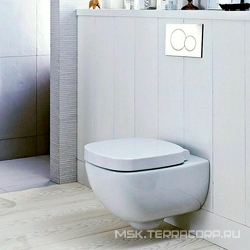 Клавиша двойного смыва (пластик, цв. глянцевый хром),  Geberit Sigma01 115.770.21.5