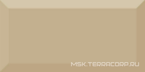 Monocolor Beige Biselado Brillo ZZ 10x20