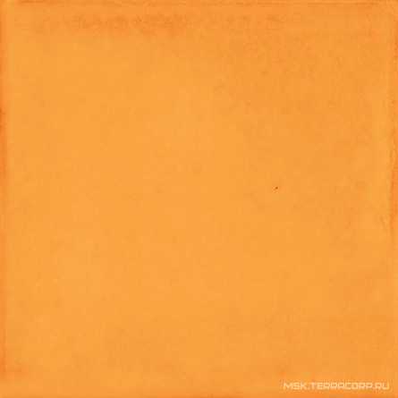 Vita Arancione Luc ZZ |20x20