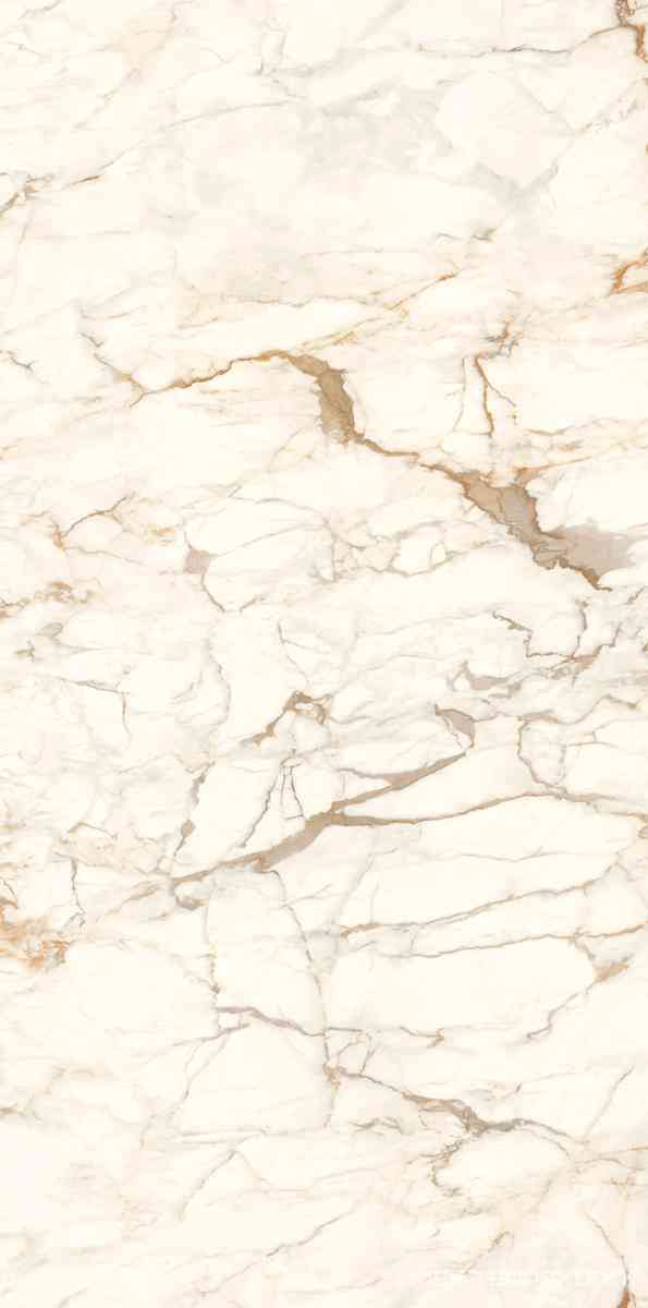 Calacatta Macchia Vecchia Lucidato (Shiny) 6 mm |150x300