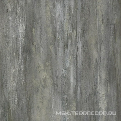 Old Tjikko XX|33.3x33.3