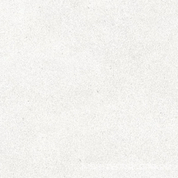 Longo white PG 01 XX|20x20