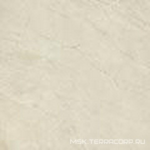 Керамогранит для пола и стены Imola Muse  60W ZZ60x60 149443