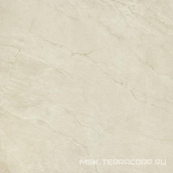 Muse 60W ZZ|60x60